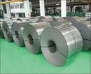 STAINLESS COLD ROLLED COILS/SHEET